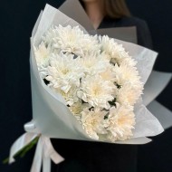 Белоснежное чудо Белоснежное чудо